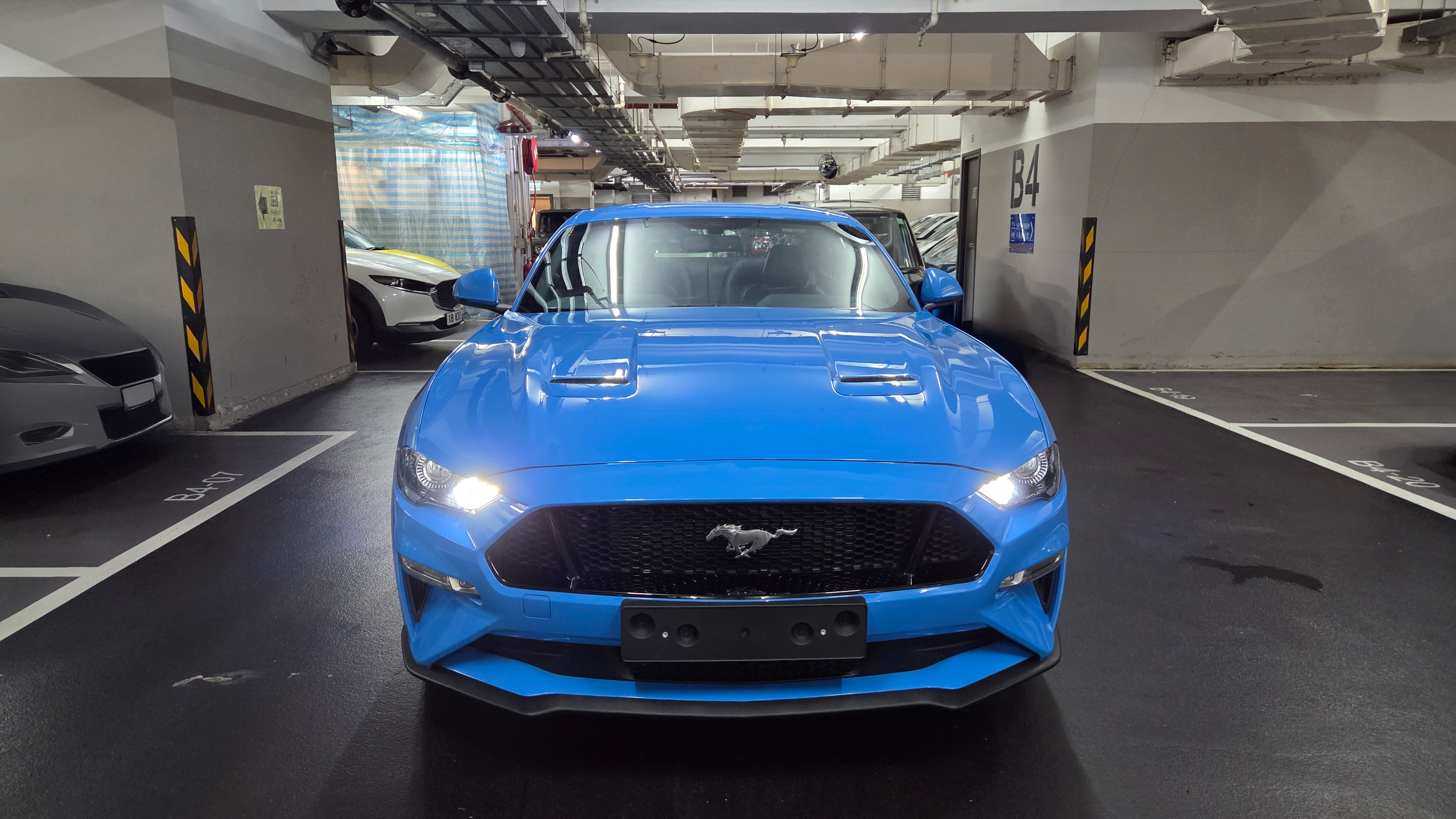 Blue Mustang 3