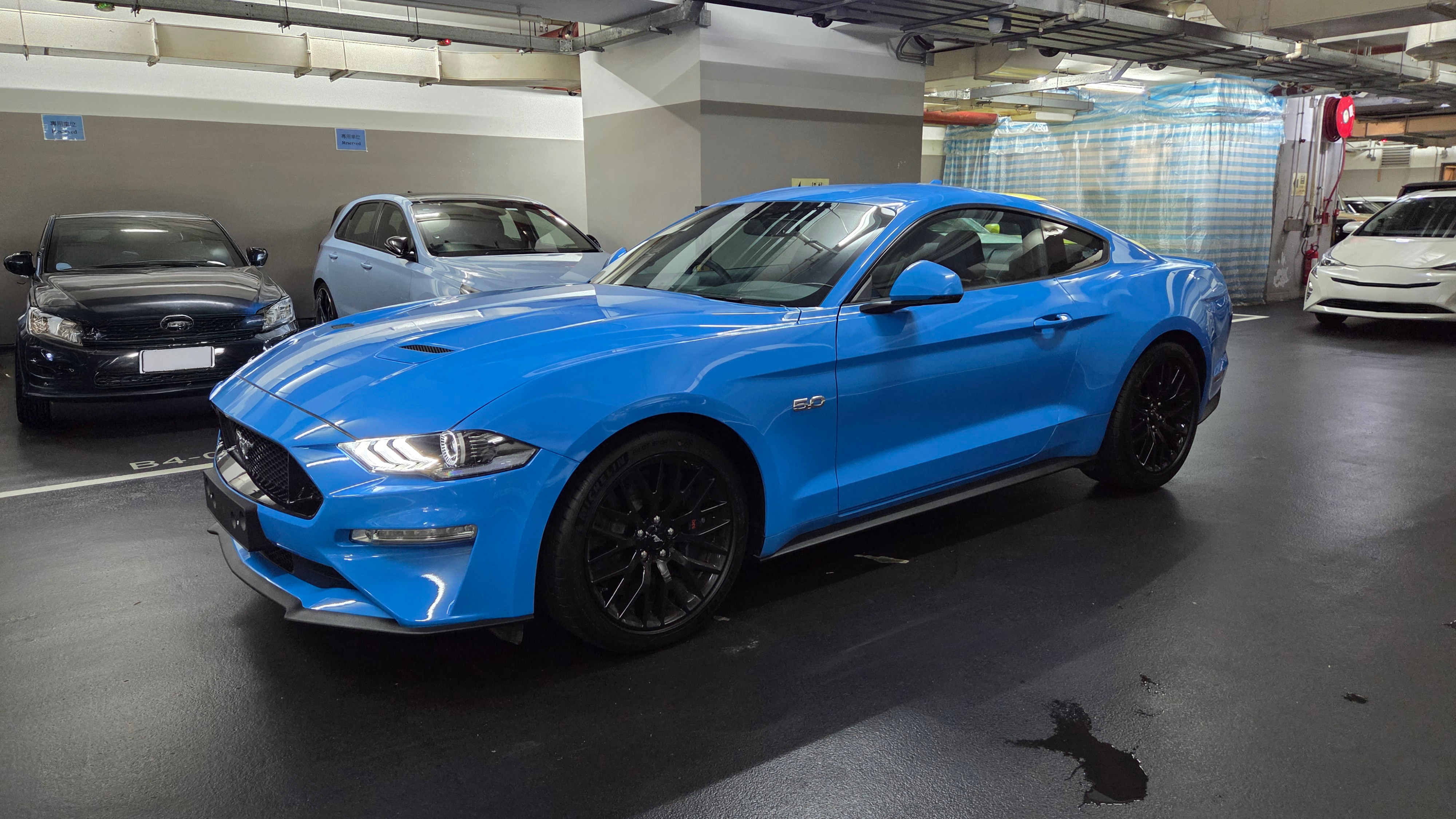 Blue Mustang 2