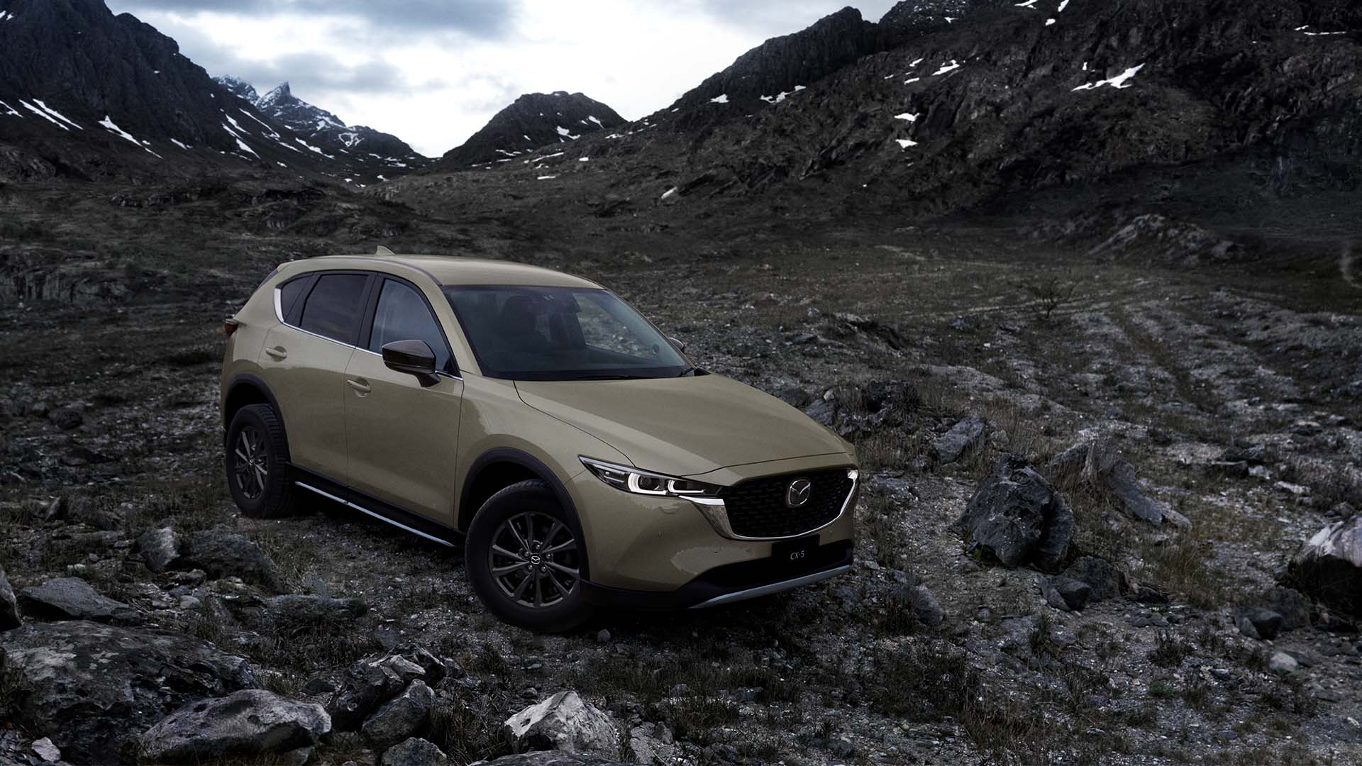 Cx5 3